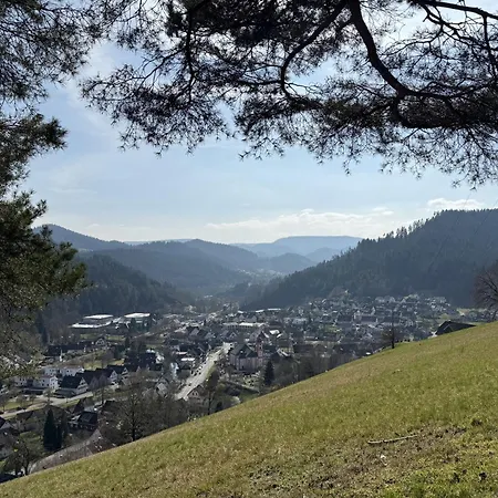 Schwarzwald Blockhaus - Sauna - Kamin - Mit Bettwaesche Und Handtuecher Дом отдыха *