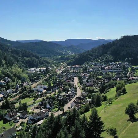 Schwarzwald Blockhaus - Sauna - Kamin - Mit Bettwaesche Und Handtuecher Schenkenzell