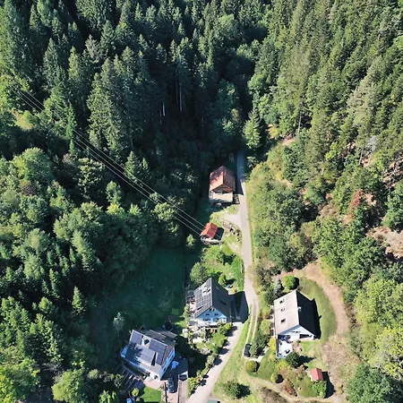 別荘 Schwarzwald Blockhaus - Sauna - Kamin - Mit Bettwaesche Und Handtuecher